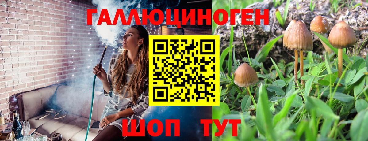 Псилоцибиновые грибы мицелий  Псилоцибиновые грибы Psilocybe  Вход с VPN  Чернушка 
